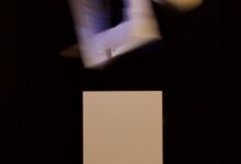 Fall Studie #15:11